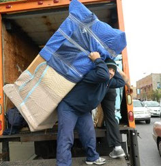 removalist bentleigh