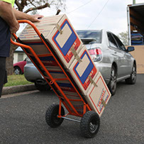 removalist bentleigh